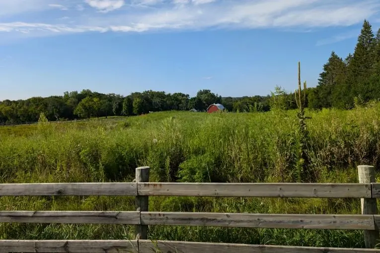 Starting Over: My Journey from City Life to a Midwest Farm Experience